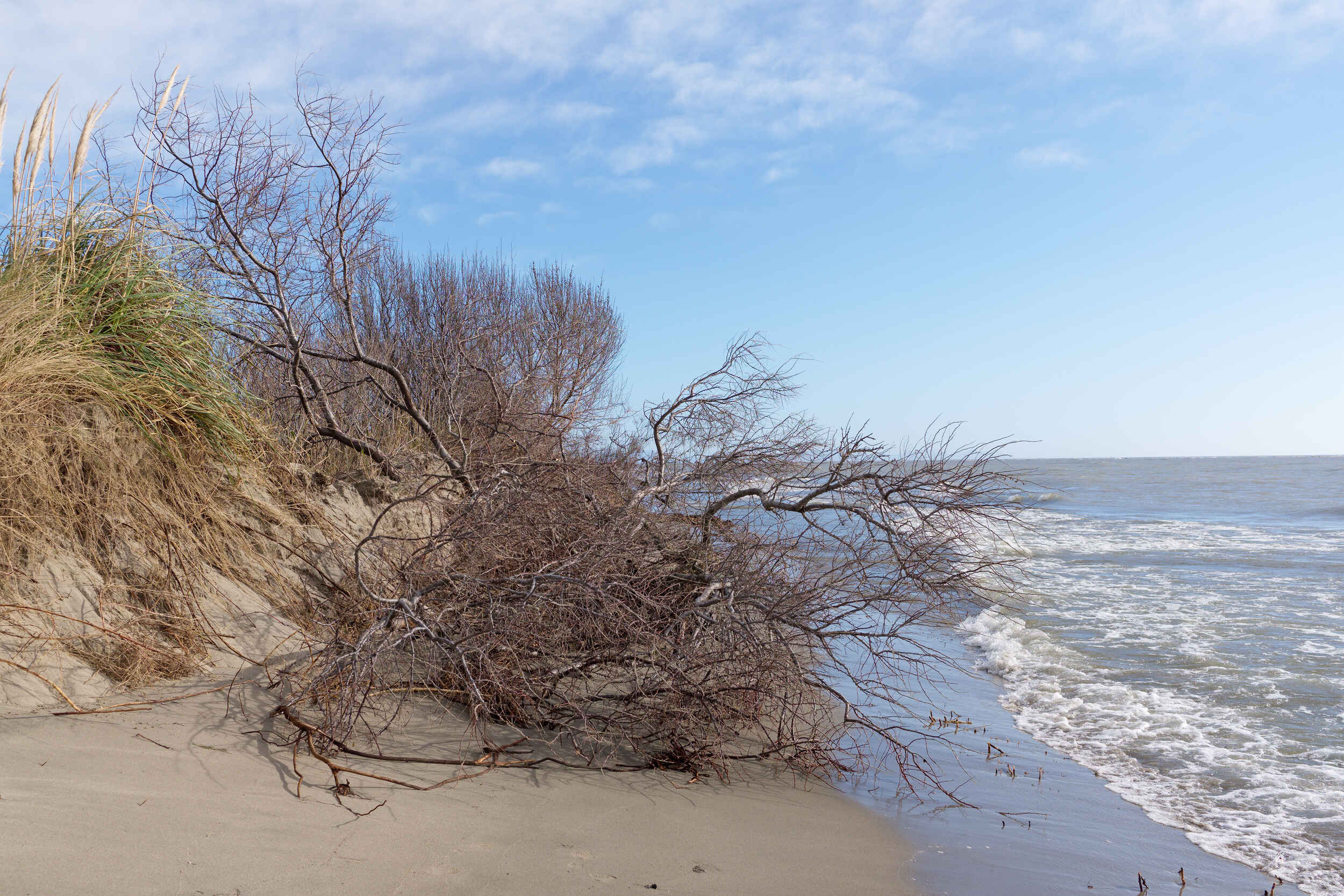 Les Saintes-Maries-de-la-Mer