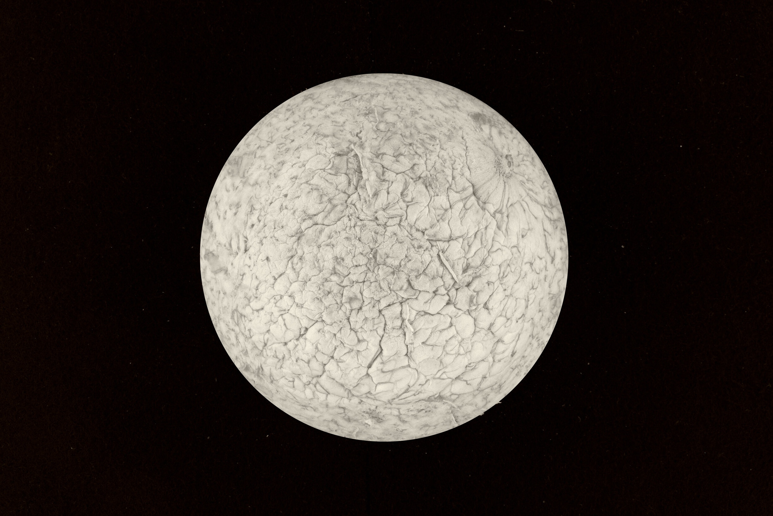 12-26GM8963