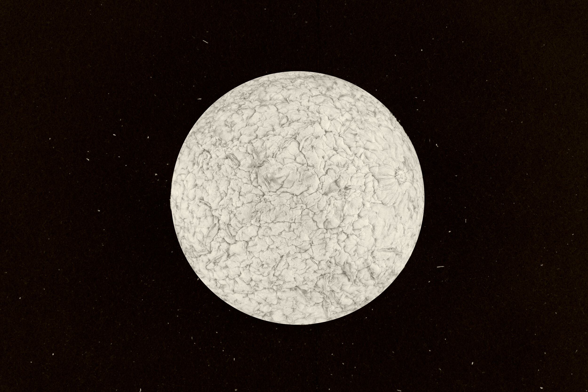 19-26GM9174