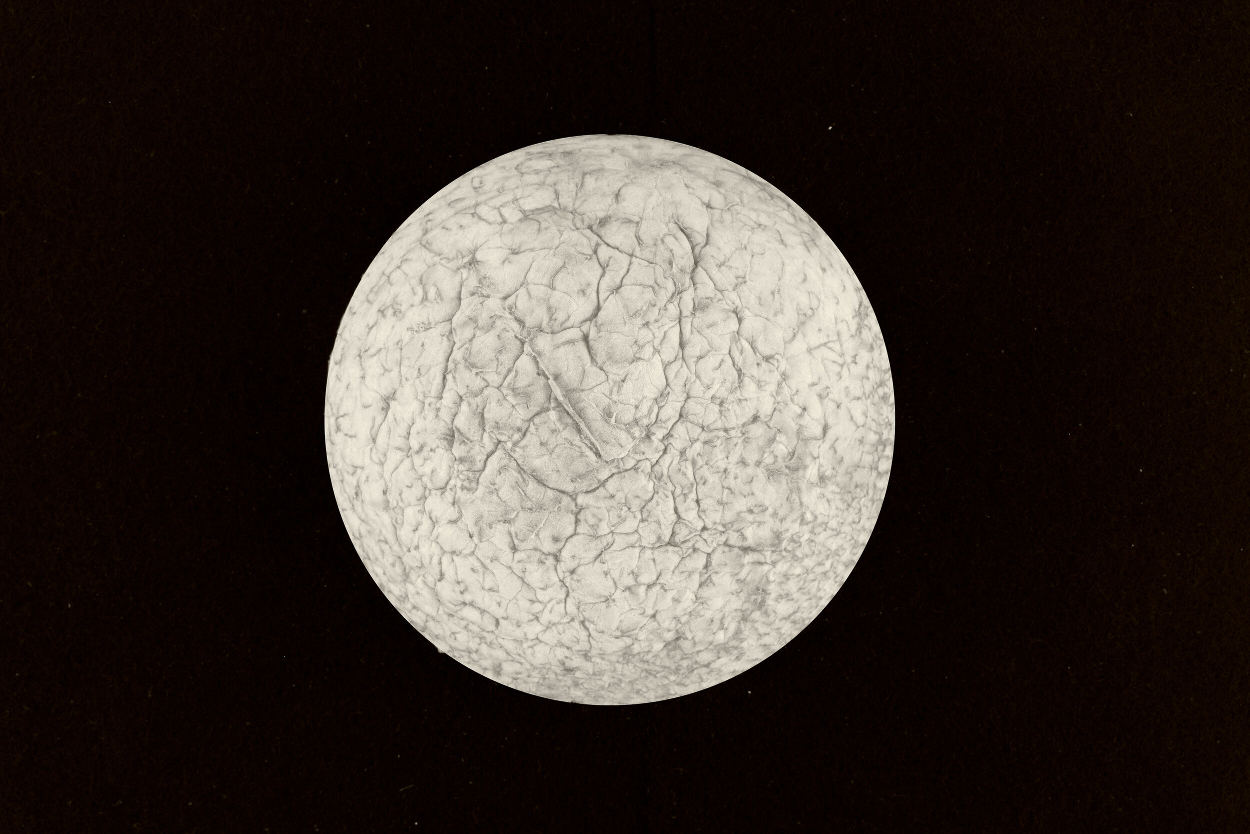 7-26GM8953