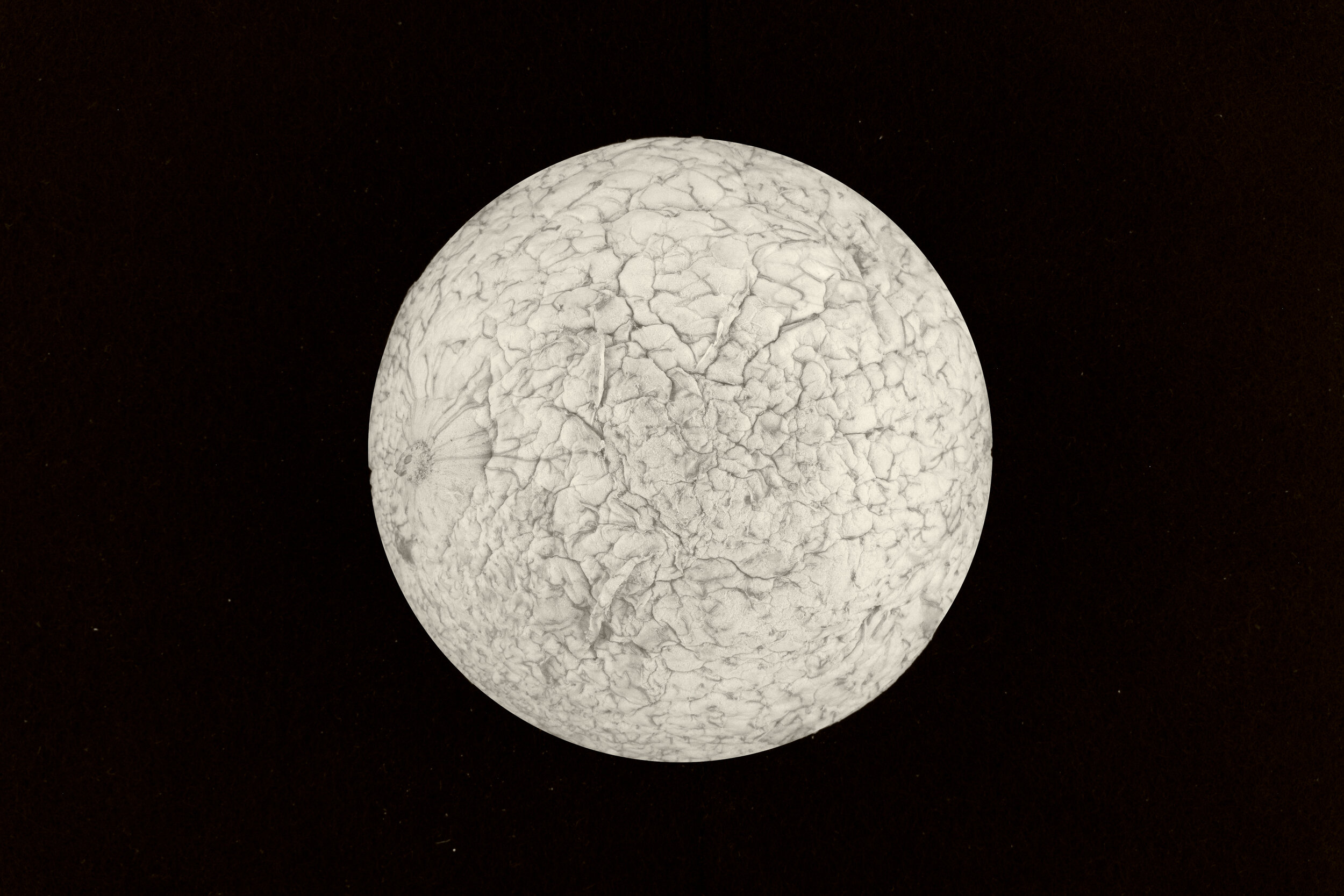 8-26GM8957