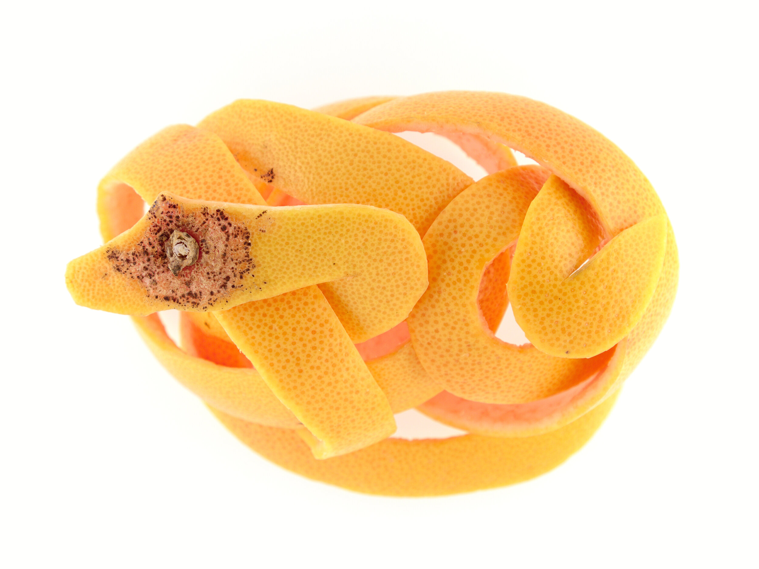 Serpent