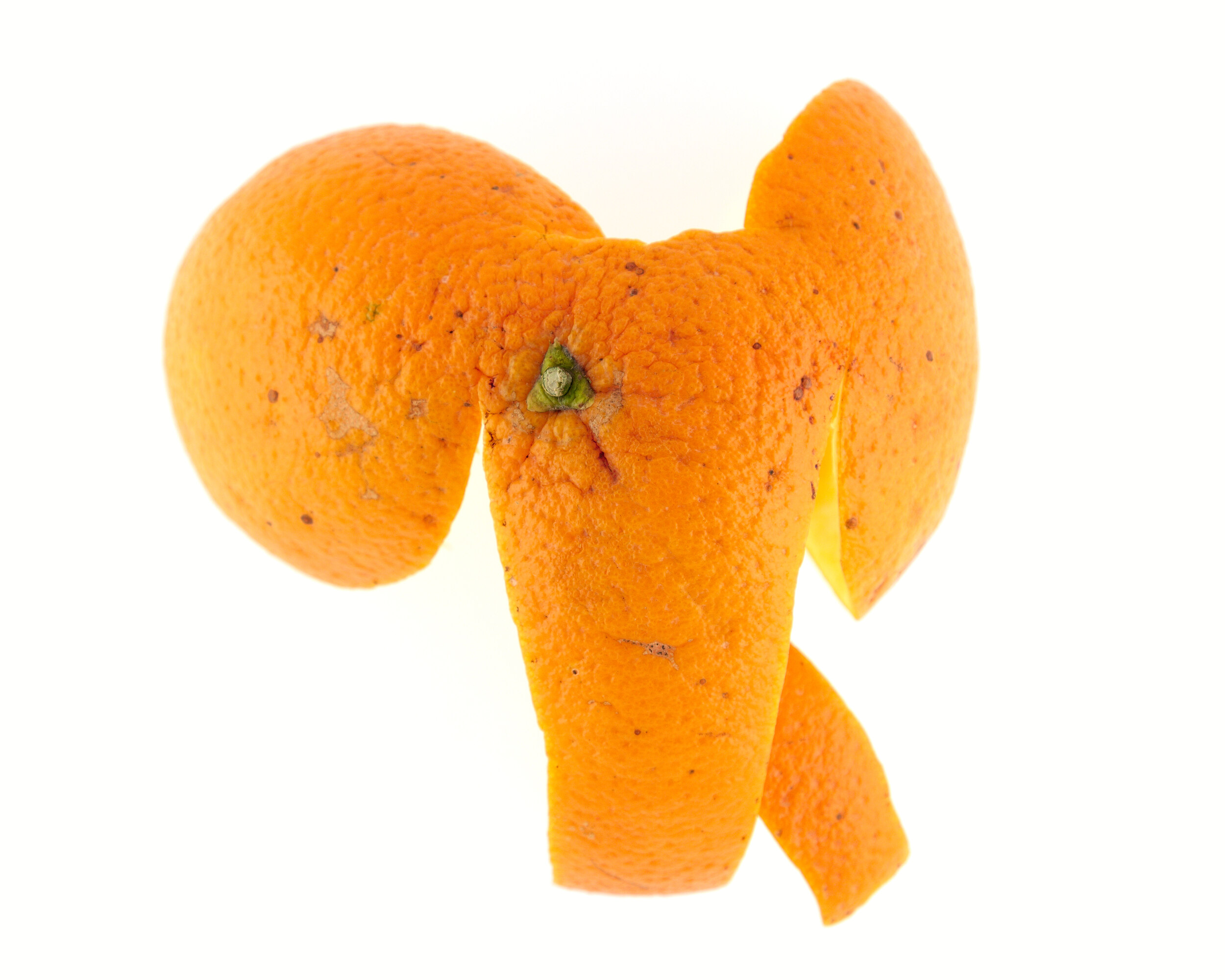 Éléphant