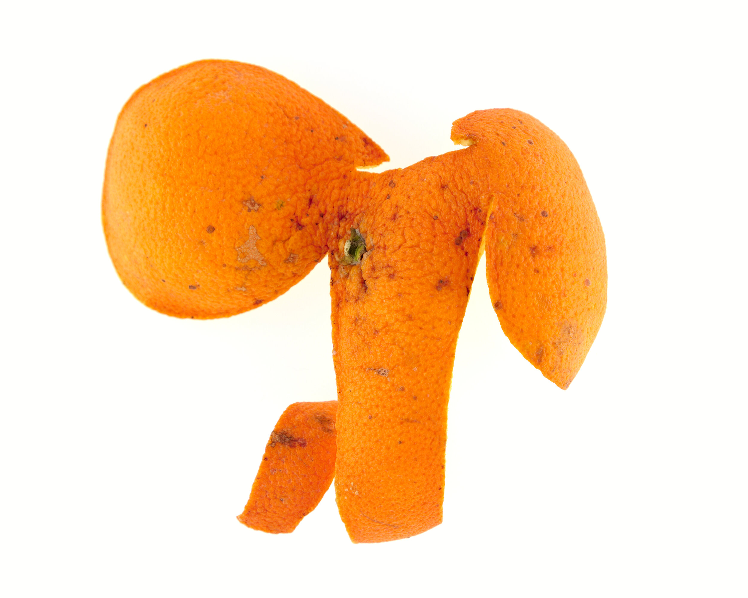 Éléphant