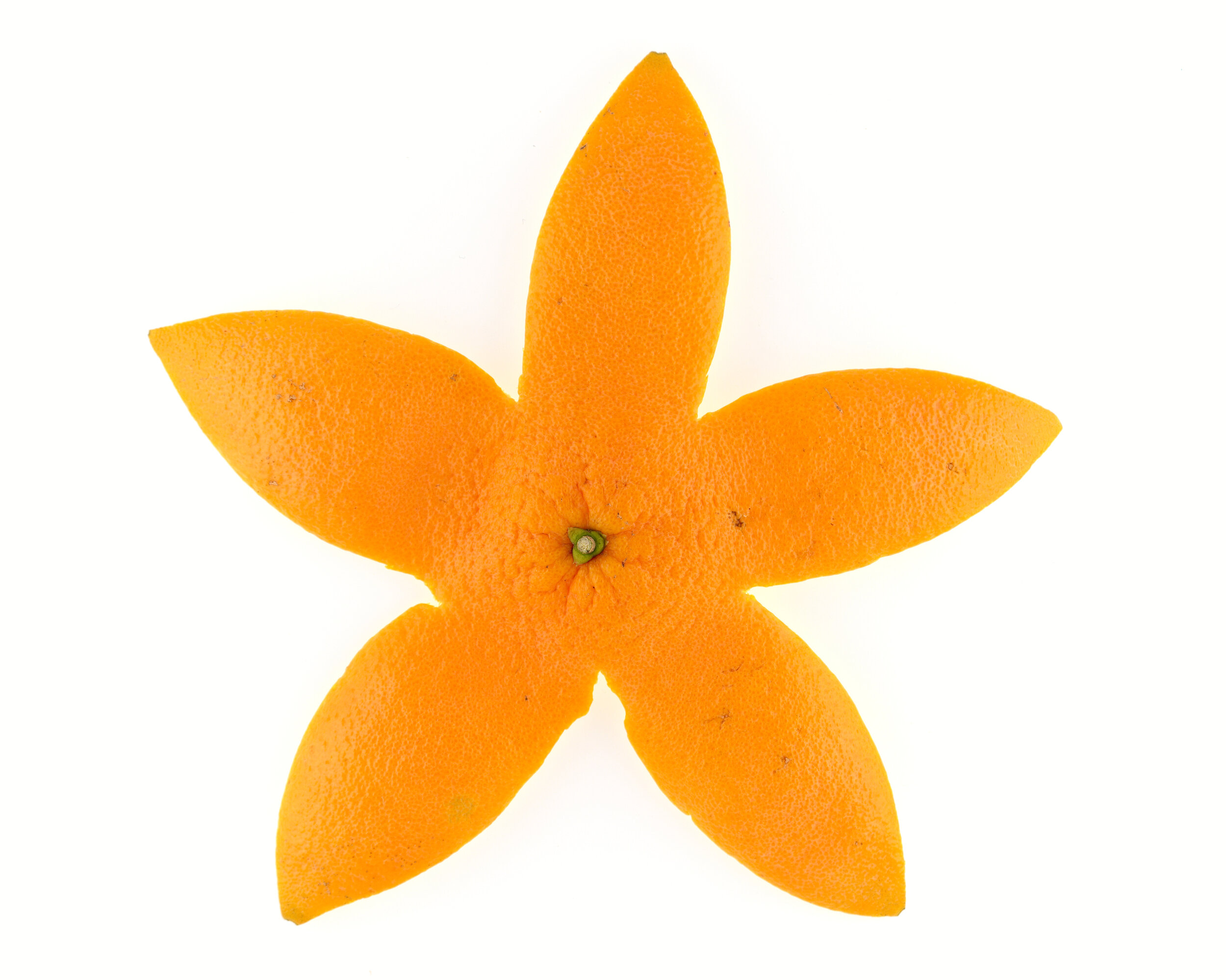 Étoile de mer