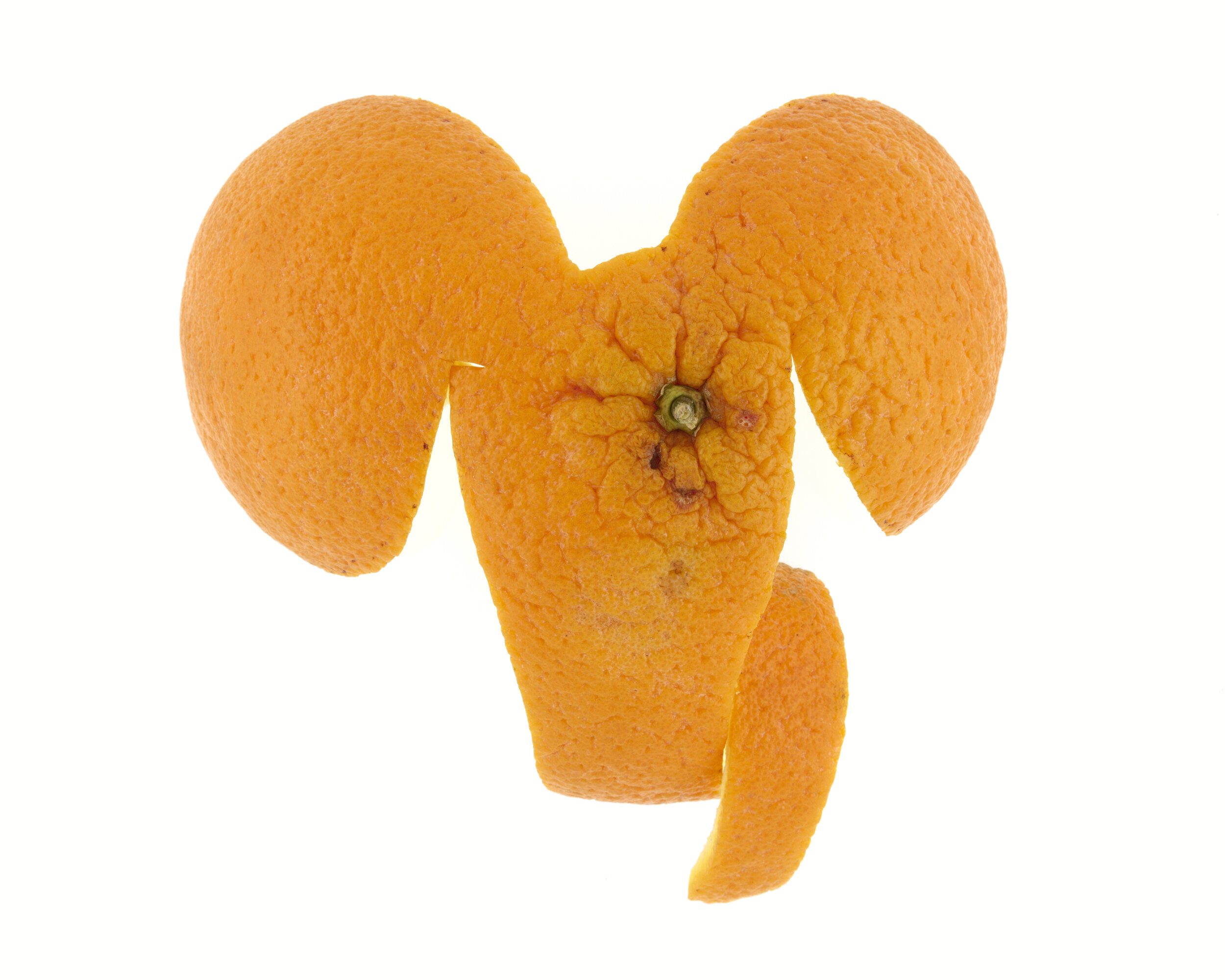 Éléphant
