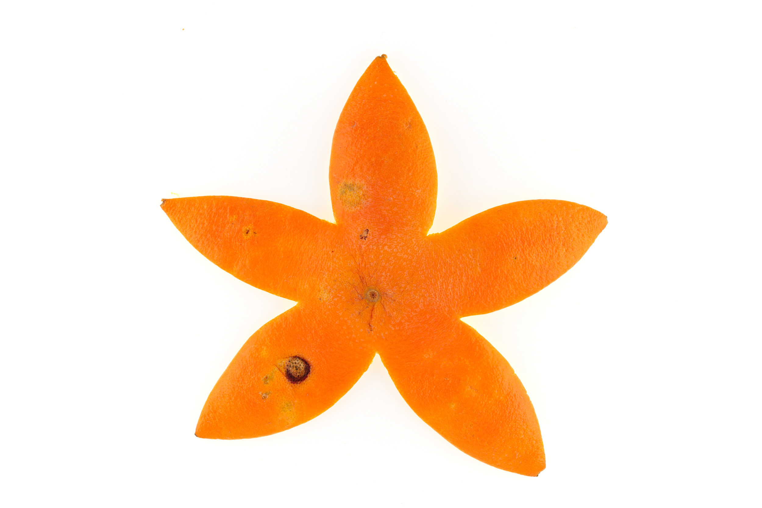 Étoile de mer